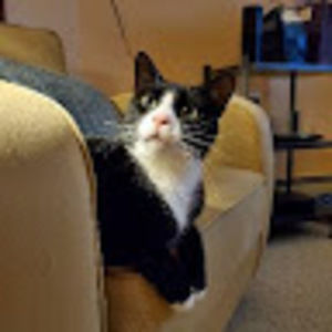 Meet your Posher, Heather